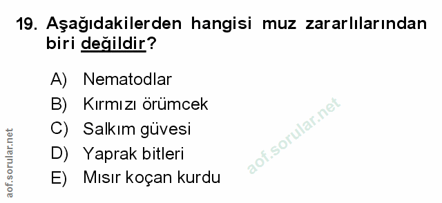 Soru 19