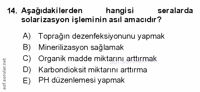 Soru 14