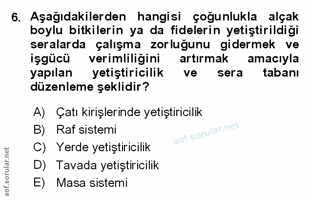 Soru 6
