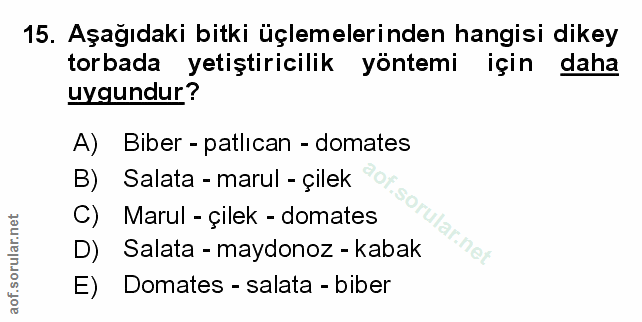 Soru 15