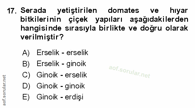 Soru 17