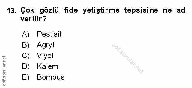 Soru 13