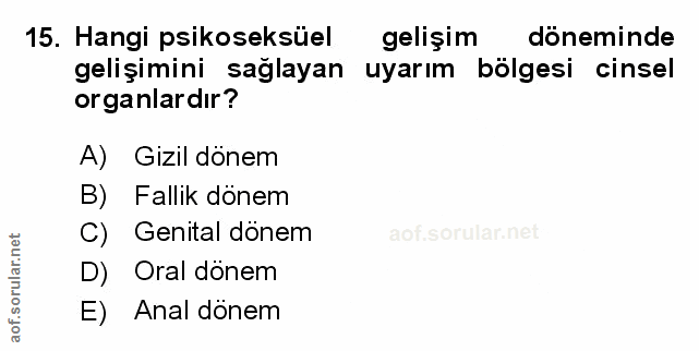 Soru 15