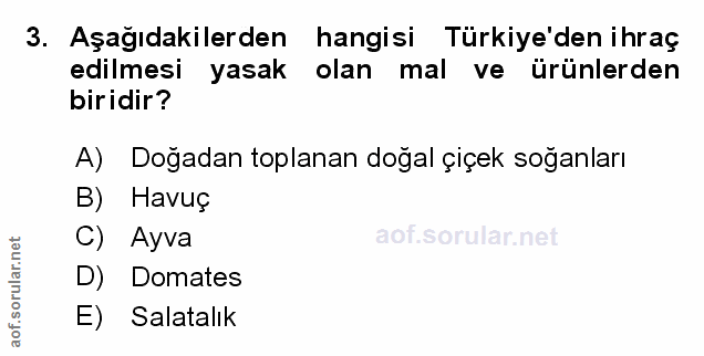 Soru 3