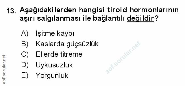 Soru 13