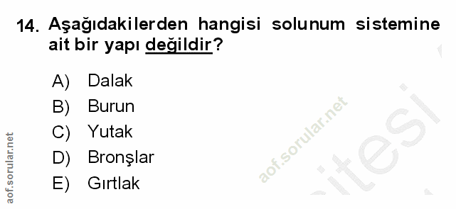 Soru 14