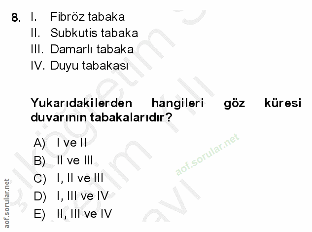 Soru 8