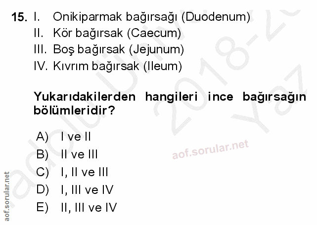 Soru 15