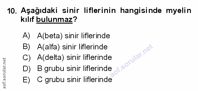 Soru 10
