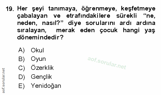 Soru 19