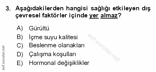 Soru 3