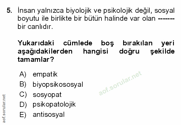 Soru 5