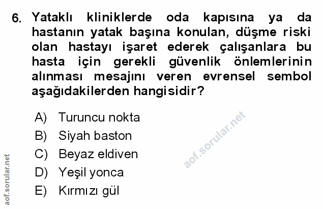 Soru 6