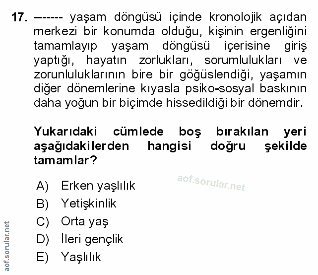 Soru 17