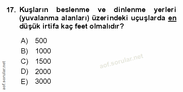 Soru 17