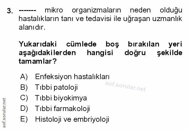Soru 3