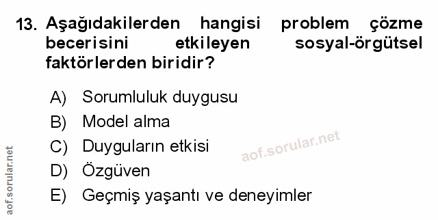 Soru 13