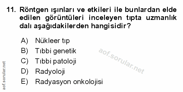 Soru 11