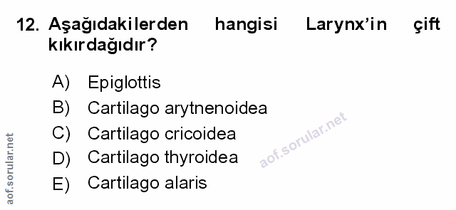 Soru 12