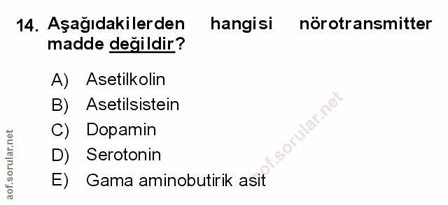 Soru 14