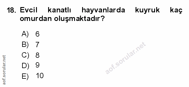 Soru 18