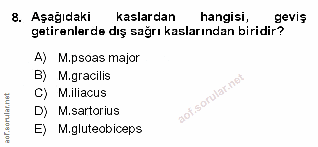 Soru 8