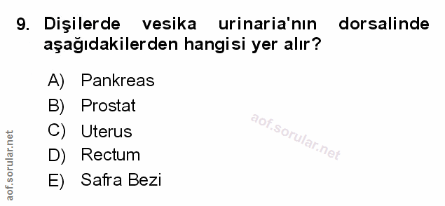 Soru 9