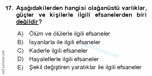 Soru 17