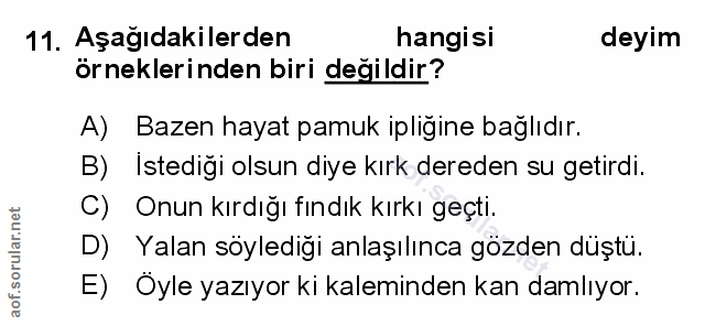 Soru 11
