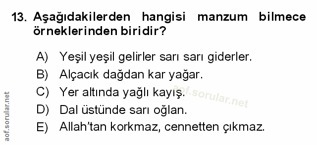 Soru 13