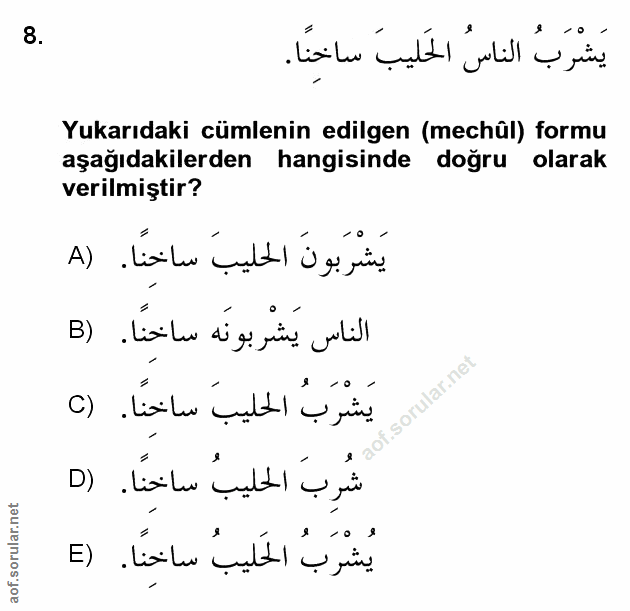 Soru 8