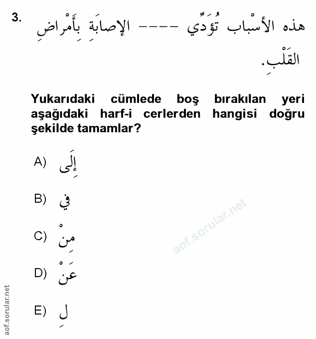 Soru 3