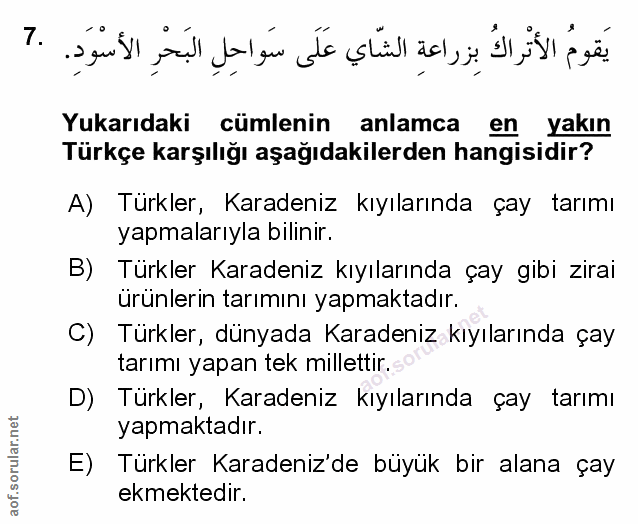 Soru 7