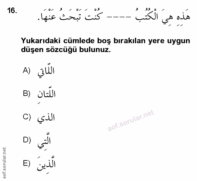 Soru 16