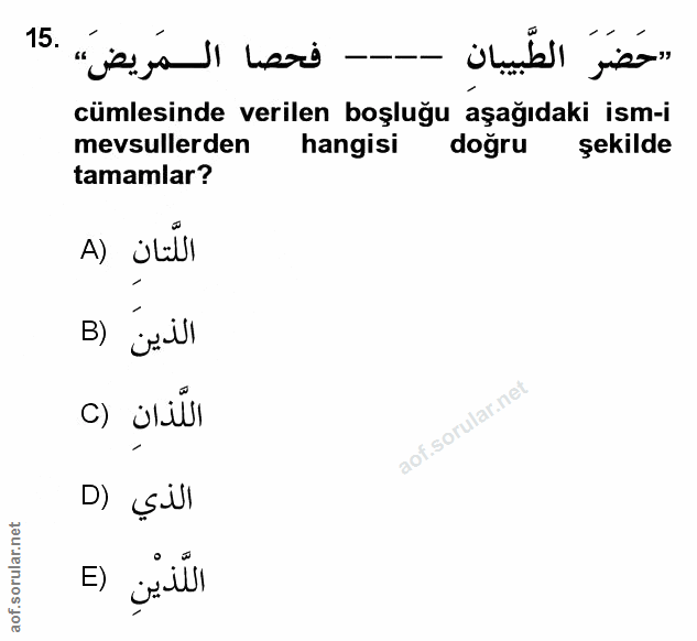 Soru 15
