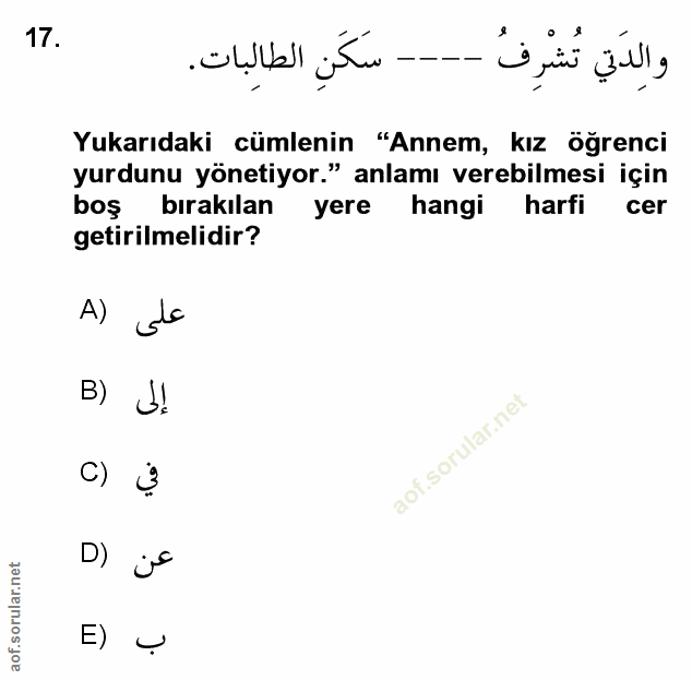 Soru 17