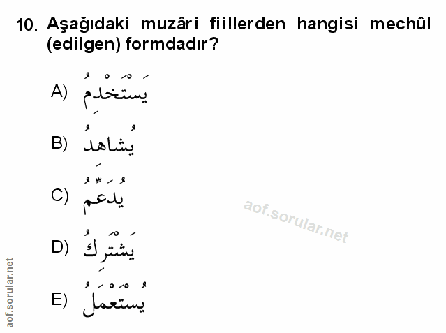 Soru 10