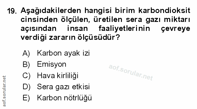 Soru 19
