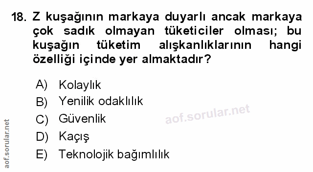 Soru 18