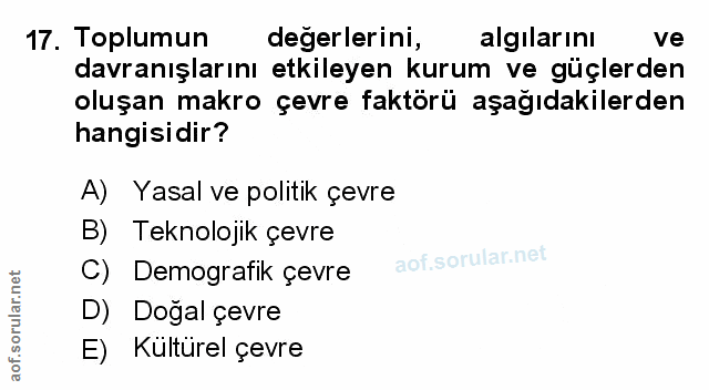 Soru 17