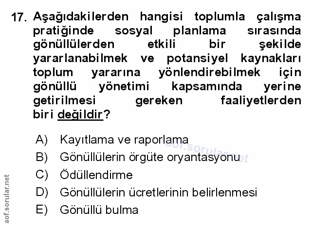 Soru 17