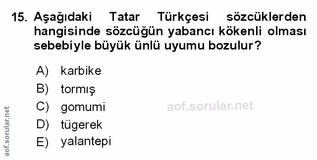 Soru 15
