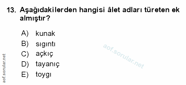 Soru 13