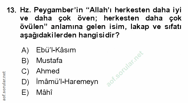 Soru 13