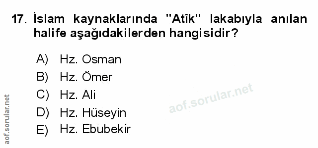 Soru 17