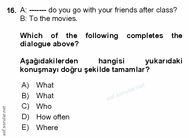 Soru 16