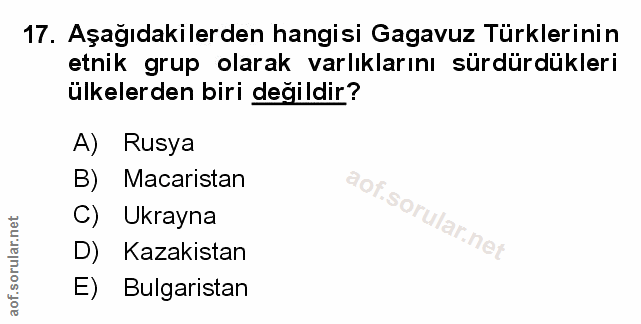 Soru 17