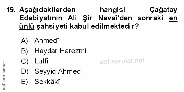 Soru 19