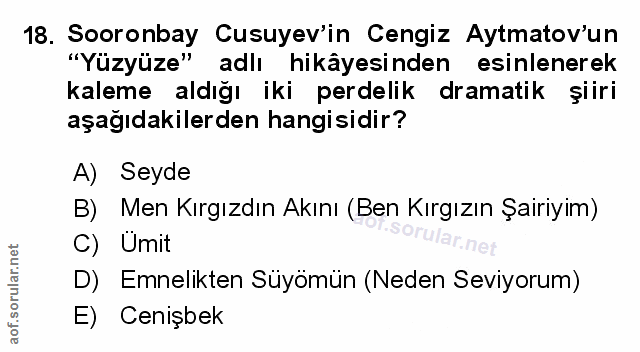 Soru 18