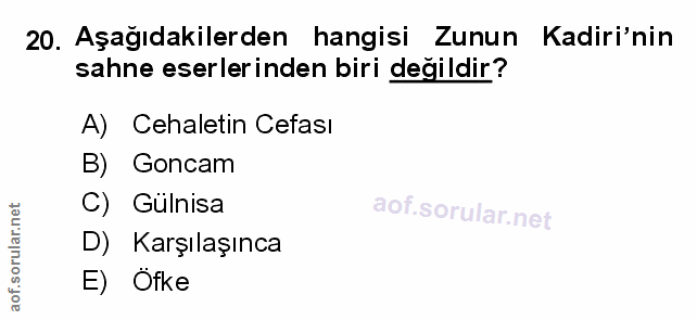 Soru 20